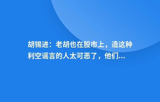 胡锡进：老胡也在股市上，造这种利空谣言的人太可恶了，他们是何居心？