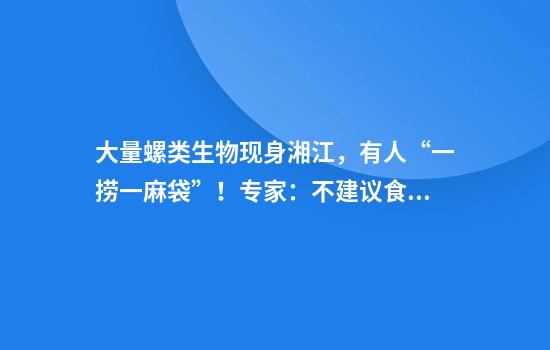 大量螺类生物现身湘江，有人“一捞一麻袋”！专家：不建议食用，捕捞野生螺可能被处罚