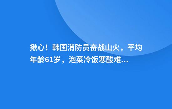 揪心！韩国消防员奋战山火，平均年龄61岁，泡菜冷饭寒酸难以充饥