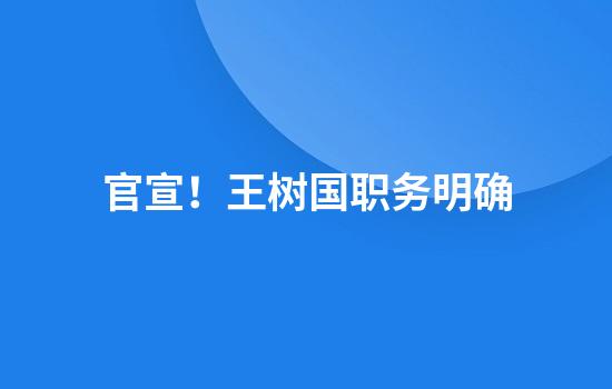 官宣！王树国职务明确