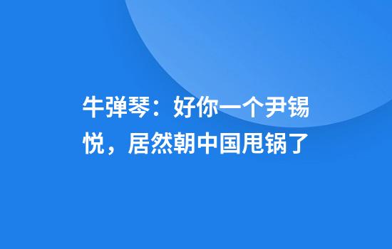 牛弹琴：好你一个尹锡悦，居然朝中国甩锅了