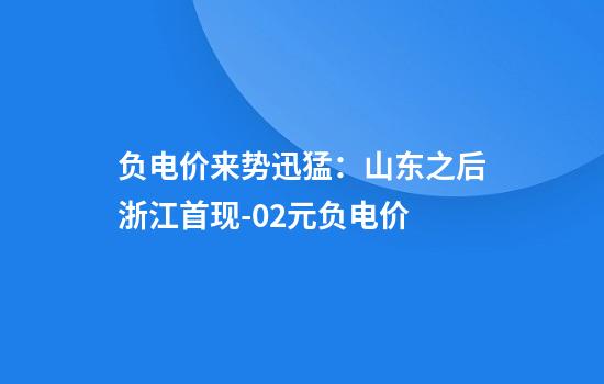 负电价来势迅猛：山东之后浙江首现-0.2元负电价