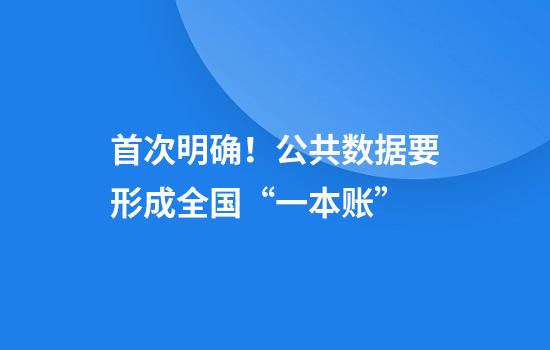 首次明确！公共数据要形成全国“一本账”