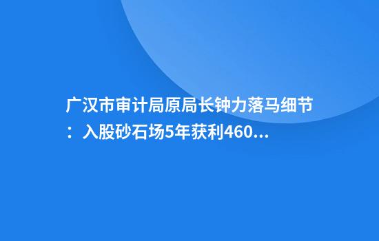 广汉市审计局原局长钟力落马细节：入股砂石场5年获利460万，工作上当“甩手掌柜”