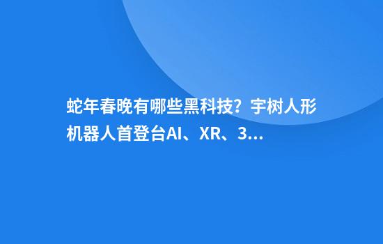 蛇年春晚有哪些黑科技？宇树人形机器人首登台AI、XR、3D技术打辅助