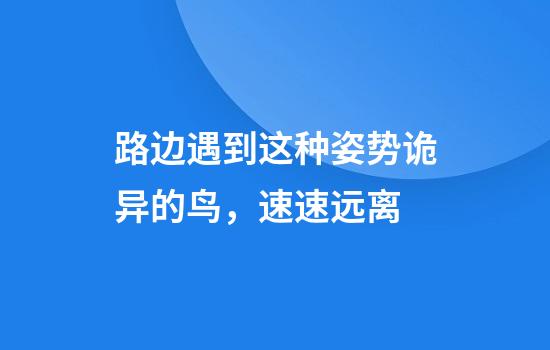 路边遇到这种姿势诡异的鸟，速速远离