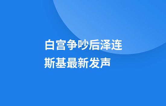 白宫争吵后泽连斯基最新发声