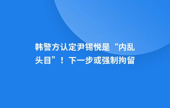 韩警方认定尹锡悦是“内乱头目”！下一步或强制拘留