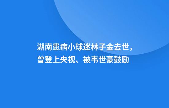 湖南患病小球迷林子金去世，曾登上央视、被韦世豪鼓励