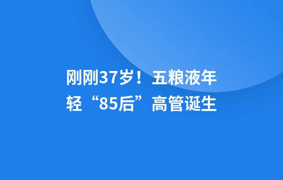 刚刚37岁！五粮液年轻“85后”高管诞生