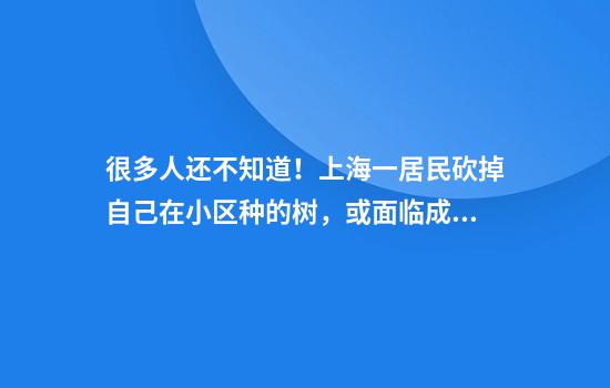 很多人还不知道！上海一居民砍掉自己在小区种的树，或面临成倍处罚