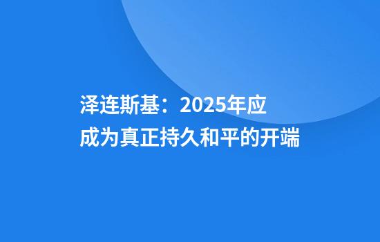 泽连斯基：2025年应成为真正持久和平的开端