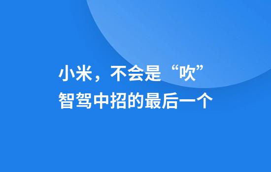 小米，不会是“吹”智驾中招的最后一个