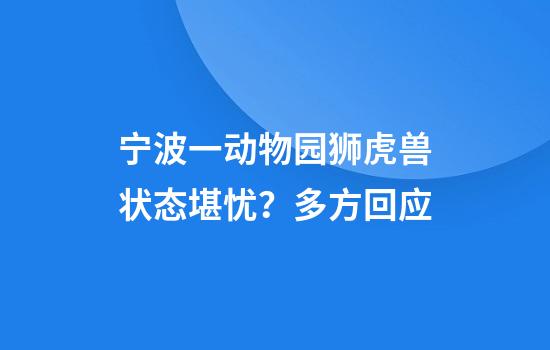 宁波一动物园狮虎兽状态堪忧？多方回应