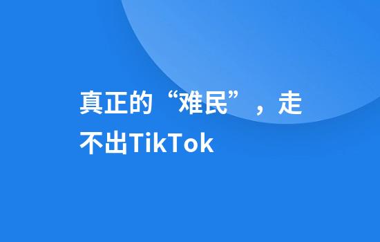 真正的“难民”，走不出TikTok