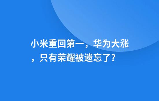 小米重回第一，华为大涨，只有荣耀被遗忘了？