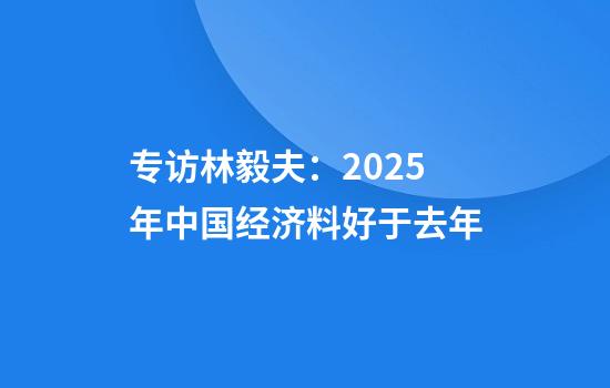 专访林毅夫：2025年中国经济料好于去年