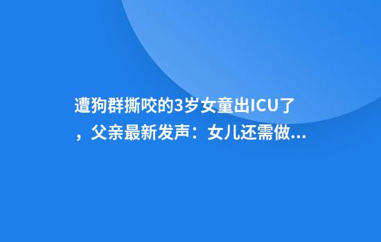 遭狗群撕咬的3岁女童出ICU了，父亲最新发声：女儿还需做五六次手术，狗主人还未找到
