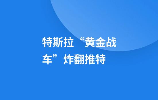 特斯拉“黄金战车”炸翻推特