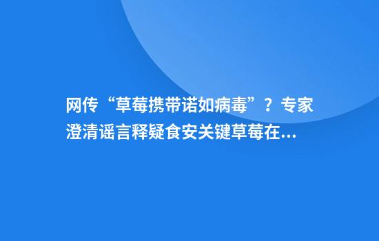 网传“草莓携带诺如病毒”？专家澄清谣言释疑食安关键草莓在采摘包装环节或被污染食用前需充分清洗