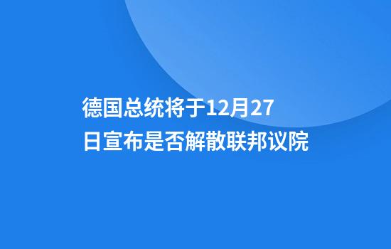 德国总统将于12月27日宣布是否解散联邦议院