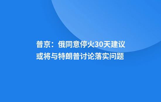 普京：俄同意停火30天建议或将与特朗普讨论落实问题
