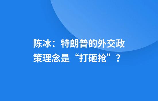 陈冰：特朗普的外交政策理念是“打砸抢”？