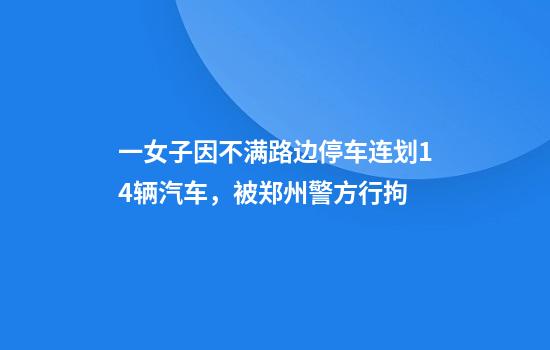 一女子因不满路边停车连划14辆汽车，被郑州警方行拘