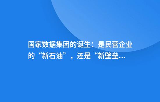 国家数据集团的诞生：是民营企业的“新石油”，还是“新壁垒”？
