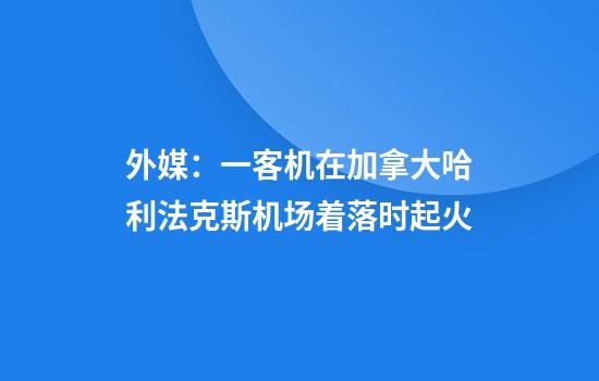 外媒：一客机在加拿大哈利法克斯机场着落时起火