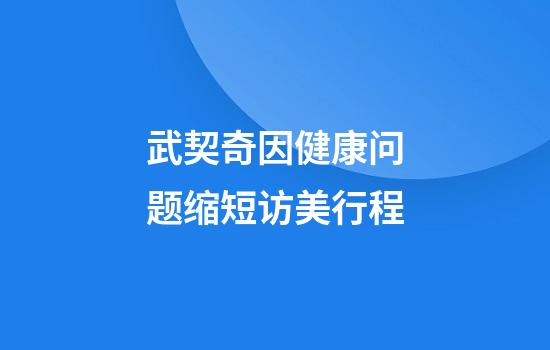 武契奇因健康问题缩短访美行程
