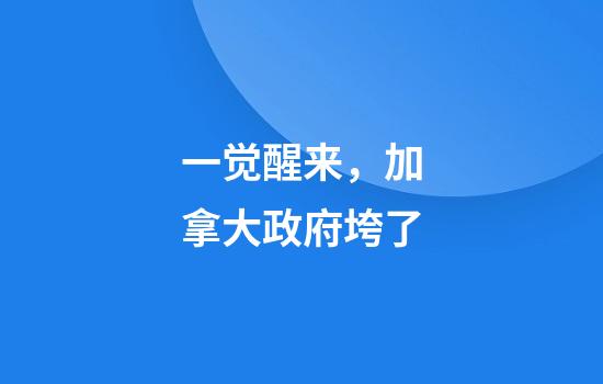 一觉醒来，加拿大政府垮了