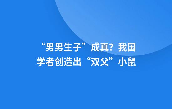 “男男生子”成真？我国学者创造出“双父”小鼠