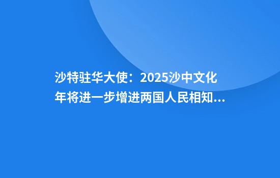 沙特驻华大使：2025沙中文化年将进一步增进两国人民相知相亲