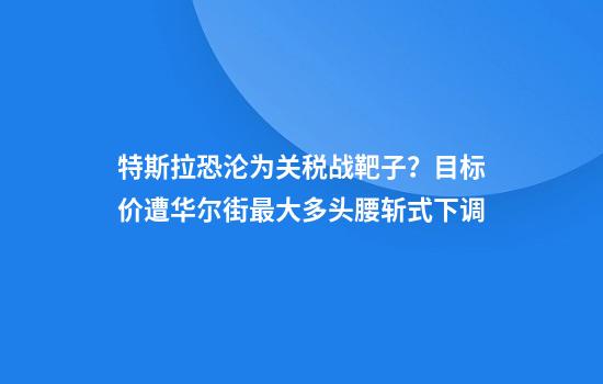 特斯拉恐沦为关税战靶子？目标价遭华尔街最大多头腰斩式下调