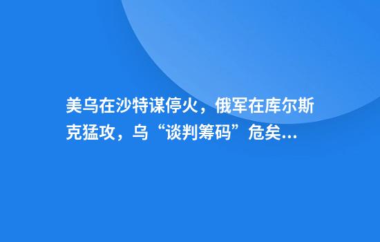 美乌在沙特谋停火，俄军在库尔斯克猛攻，乌“谈判筹码”危矣？