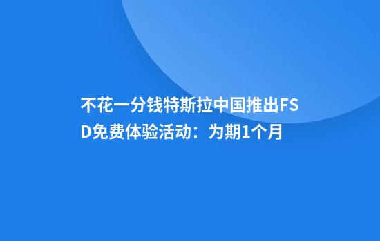 不花一分钱特斯拉中国推出FSD免费体验活动：为期1个月