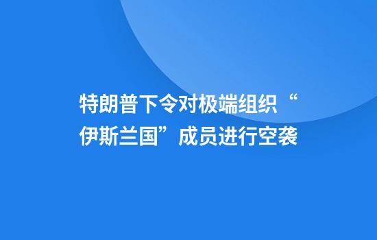 特朗普下令对极端组织“伊斯兰国”成员进行空袭