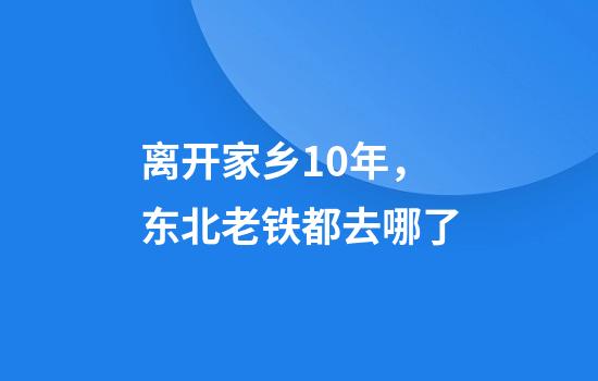 离开家乡10年，东北老铁都去哪了?