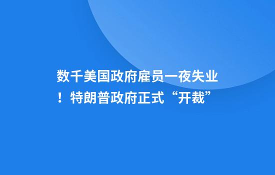 数千美国政府雇员一夜失业！特朗普政府正式“开裁”