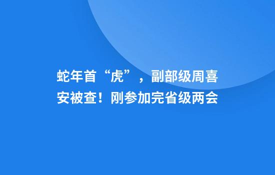 蛇年首“虎”，副部级周喜安被查！刚参加完省级两会