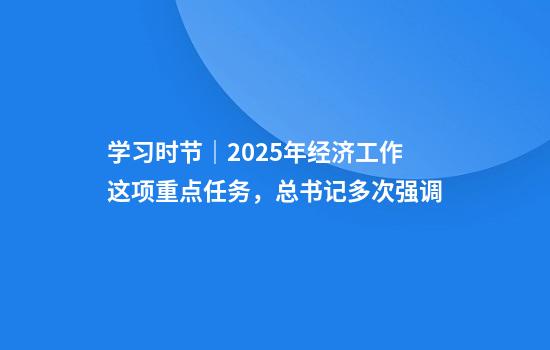 学习时节｜2025年经济工作这项重点任务，总书记多次强调