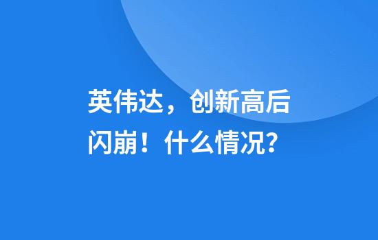 英伟达，创新高后闪崩！什么情况？