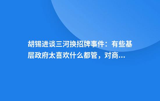 胡锡进谈三河换招牌事件：有些基层政府太喜欢什么都管，对商家缺少尊重
