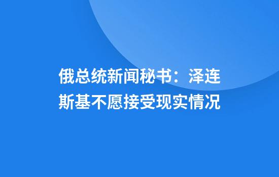 俄总统新闻秘书：泽连斯基不愿接受现实情况