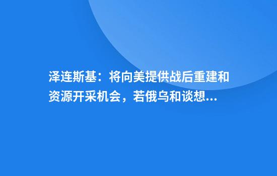 泽连斯基：将向美提供战后重建和资源开采机会，若俄乌和谈想用领土换领土