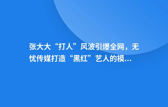 张大大“打人”风波引爆全网，无忧传媒打造“黑红”艺人的模式遭遇危机