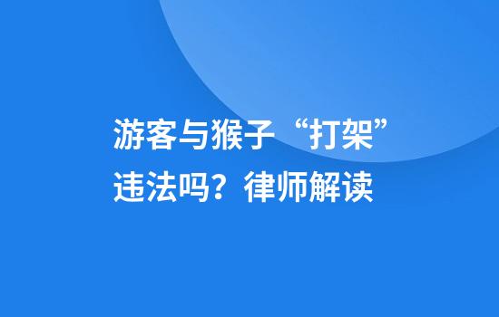 游客与猴子“打架”违法吗？律师解读