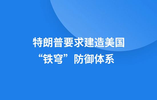 特朗普要求建造美国“铁穹”防御体系