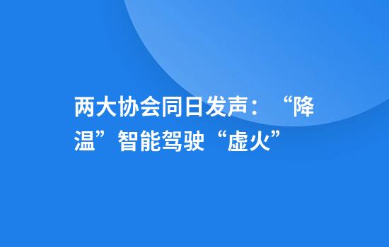 两大协会同日发声：“降温”智能驾驶“虚火”